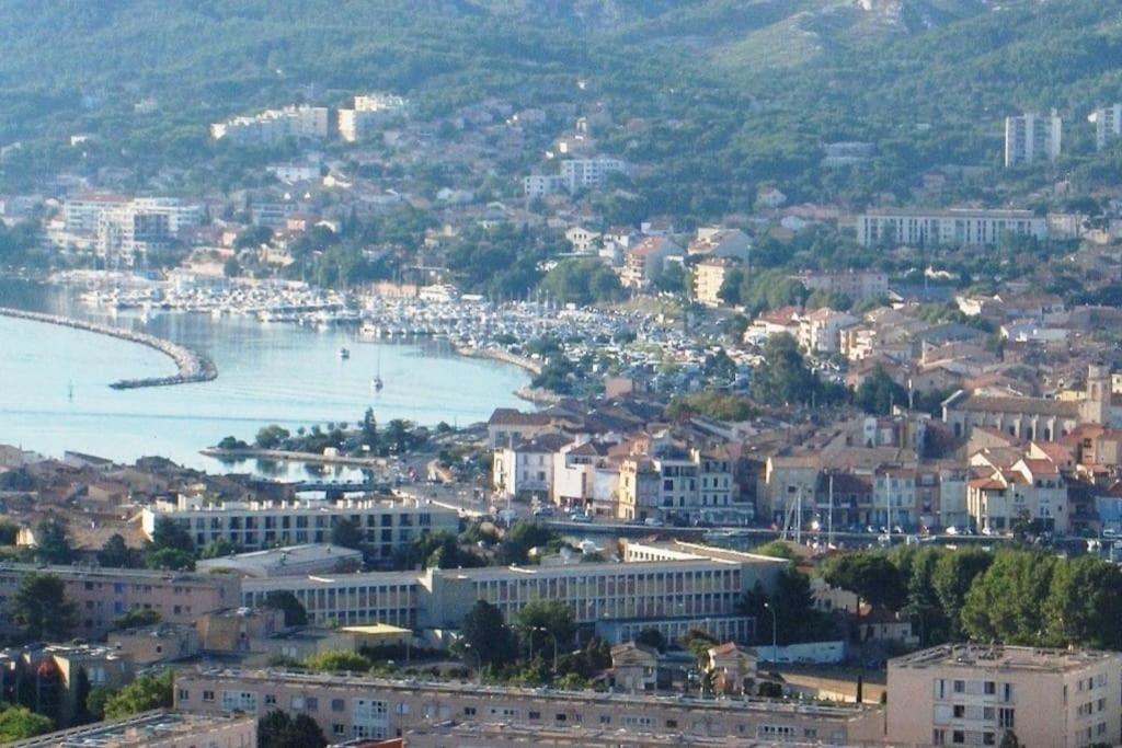 Joli 30m2 + Mezzanine Au Coeur De Appartement *