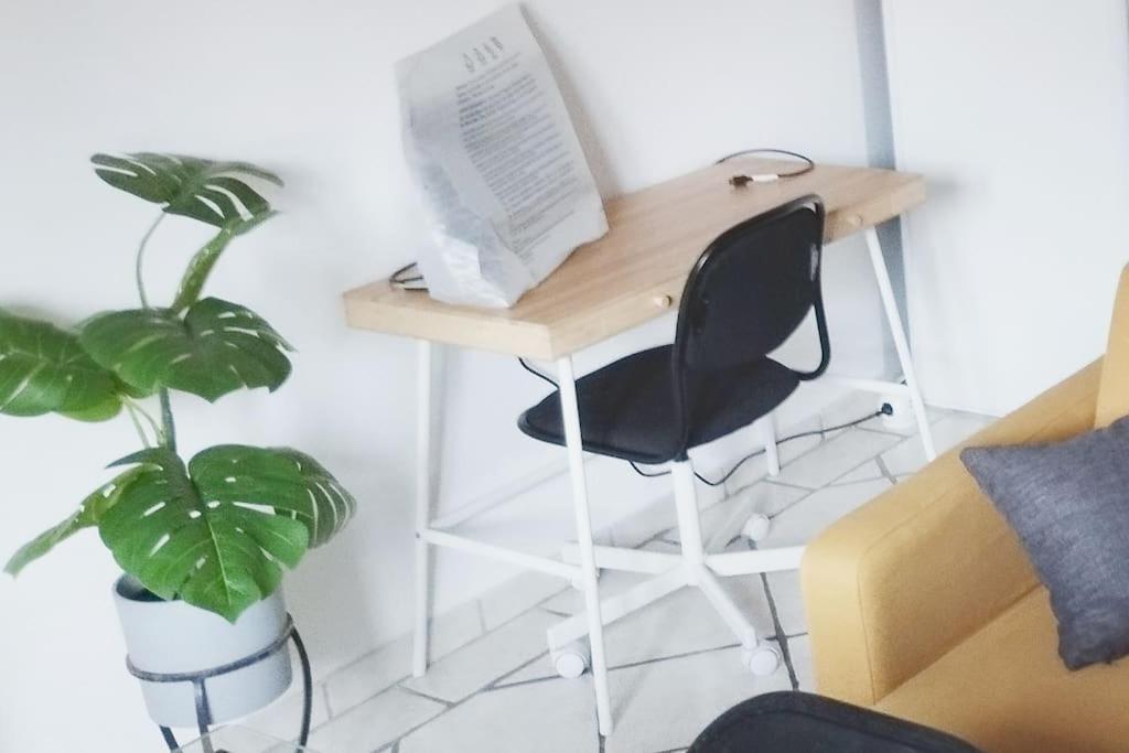 Joli 30m2 + Mezzanine Au Coeur De Appartement